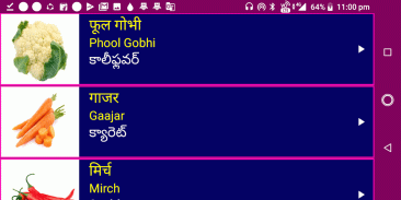 Learn Hindi from Telugu screenshot 2