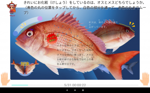 真鯛の三枚おろしに挑戦　＋　魚の王様真鯛図鑑 screenshot 11