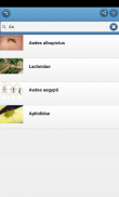 As pragas de insectos screenshot 3