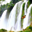 Cachoeira Livre Live Wallpaper