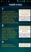 Hadees e Kisa (حدیث الکساء) screenshot 4