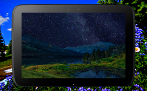 Mountain Spring Live Wallpaper screenshot 2