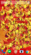 Осенние листья 3D живые обои screenshot 7