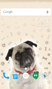 Cute Pug Keyboard Wallpaper HD screenshot 3