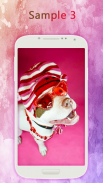 Pitbull Wallpapers screenshot 1