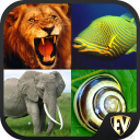 Animal Encyclopedia Offline Icon