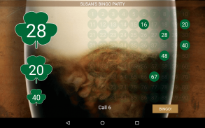 Bingo Caller Machine screenshot 1