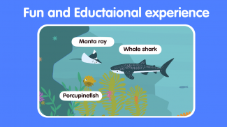 Learn Ocean Animals for kids screenshot 2