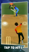 Cricket Star screenshot 3