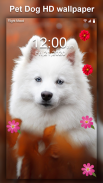 Cute Pet Dog Live Wallpaper HD screenshot 2