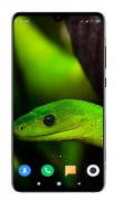 Snake Wallpaper HD screenshot 11