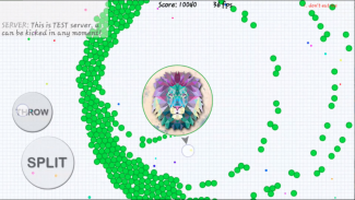 Blob io - Divide and conquer screenshot 8