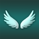 Wingman Icon