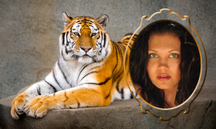 Tiger Photo Frames screenshot 4