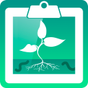 Soil Structure Assessment