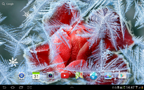 Winter Flowers Live Wallpaper screenshot 0