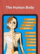 Anatomix: Anatomie atlas game screenshot 6