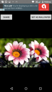 Flower Images screenshot 6