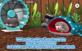 My Hedgehog screenshot 6