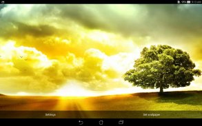 ASUS DayScene - Live wallpaper screenshot 2