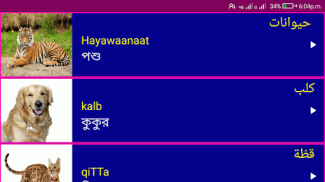 Learn Arabic From Bangla screenshot 5