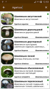 Грибы screenshot 9