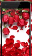 Flower Wallpapers: Rosely 2 screenshot 3