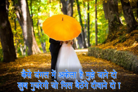 Latest Love Shayari Image screenshot 4