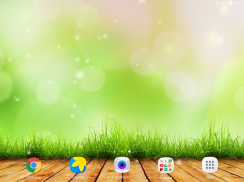 Summer Video Live Wallpaper screenshot 9