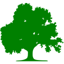 Tree Map Icon