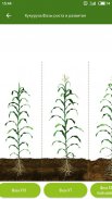 Каталог Pioneer seeds screenshot 0