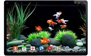 Goldfish Live Wallpaper Pro screenshot 5