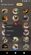 Rooster Suara dan Ringtone screenshot 1