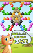 Bubble Spiele Cats screenshot 3