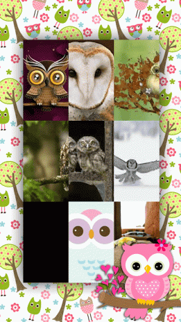 940 Koleksi Gambar Wallpaper Burung Hantu Lucu HD Terbaru