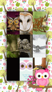 Cute Owl Wallpapers screenshot 2