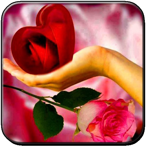 Frases De Amor Con Flores 2 3 Download Android Apk Aptoide