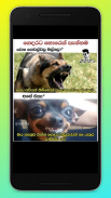 Supiri Sinhala Fun Posts / Fun screenshot 1