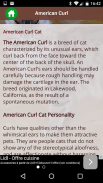 American Curl Cat screenshot 2