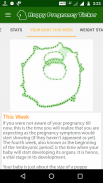 Happy Pregnancy Ticker screenshot 1