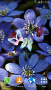 Butterfly live wallpaper screenshot 3