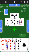 29 Card Game - Expert AI screenshot 0