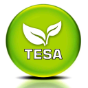 Actiontesa Icon