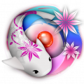 zen koi icon