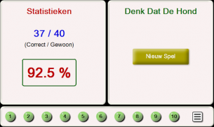 Denk Dat De Dloem: Tegelpuzzel screenshot 3