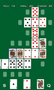 Pokeros screenshot 2