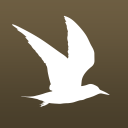 Bird List: Aves Tellus