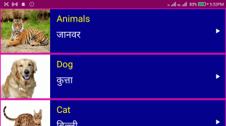 Learn English From Hindi screenshot 0