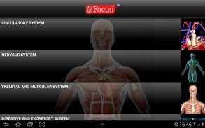 Anatomy Atlas screenshot 1