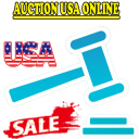 Auction USA Online